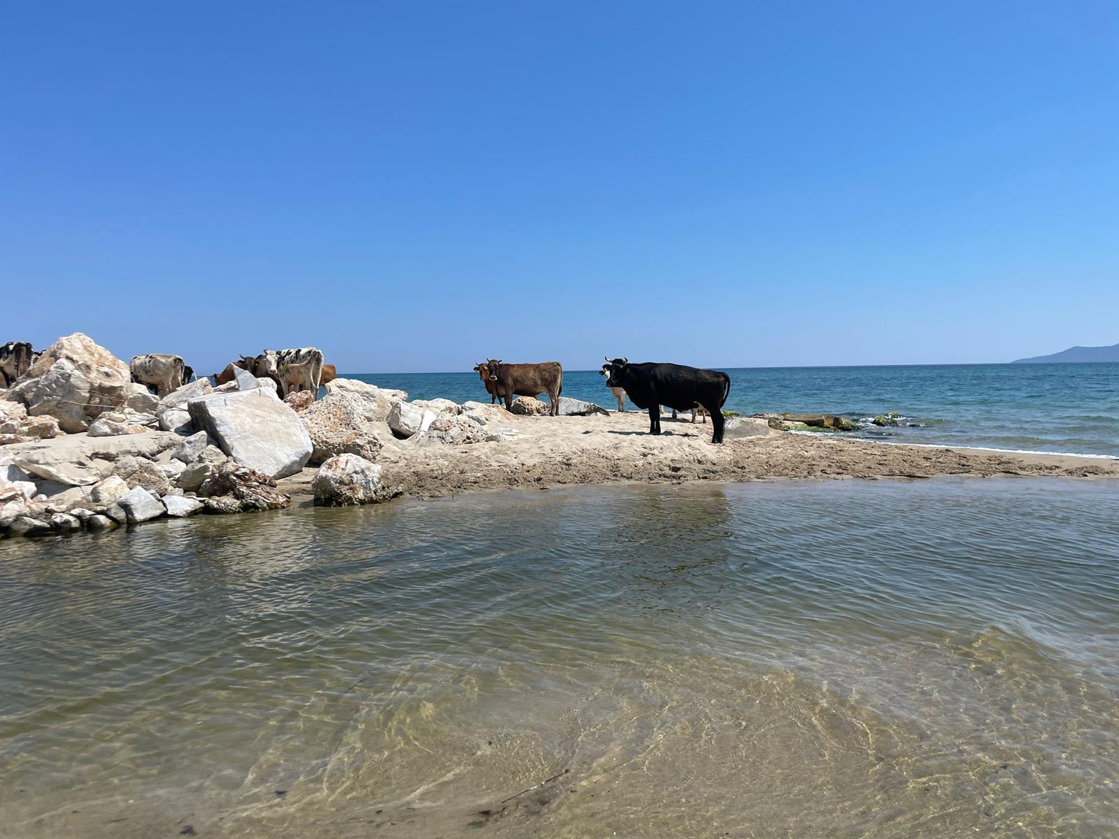 Keramoti Beach